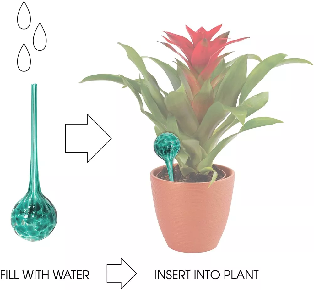 Automatic Glass Plant Watering Globes