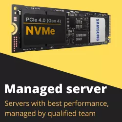 Managed server L